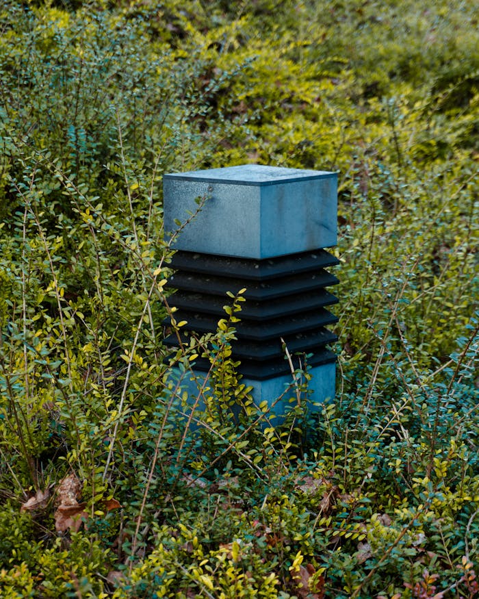 A weather sensor surrounded by lush green vegetation in an outdoor setting.